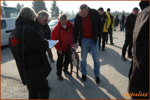 VDH DM IPO FH Oberdorla 2011